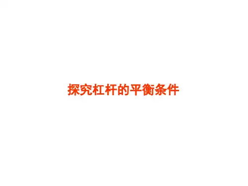 杠杆平衡 说课稿