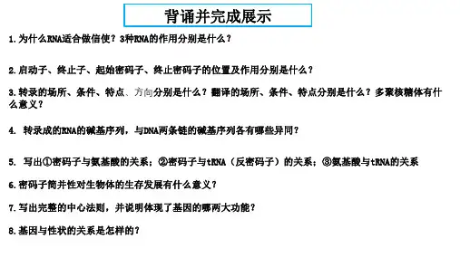 19 基因的表达-2024年高考生物一轮复习(新教材新高考)