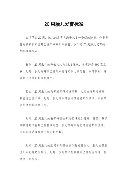 20周胎儿发育标准