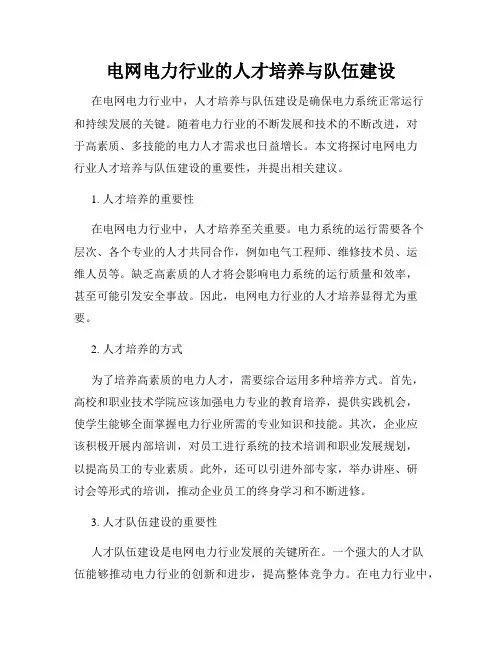 电网电力行业的人才培养与队伍建设