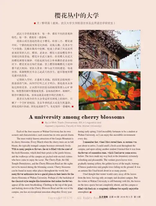 樱花丛中的大学