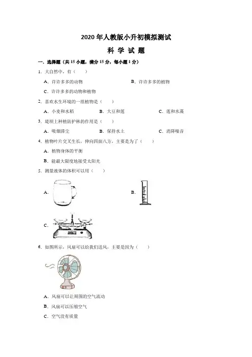 人教版小升初科学试卷(含答案)