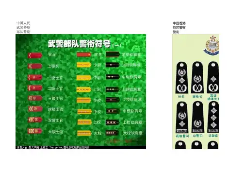 警察警衔