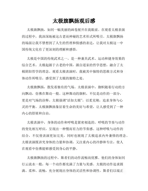 太极旗飘扬观后感