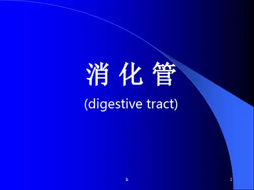 执业兽医资格考试组织学消化系统