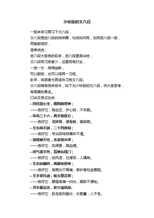 少林版的文八段