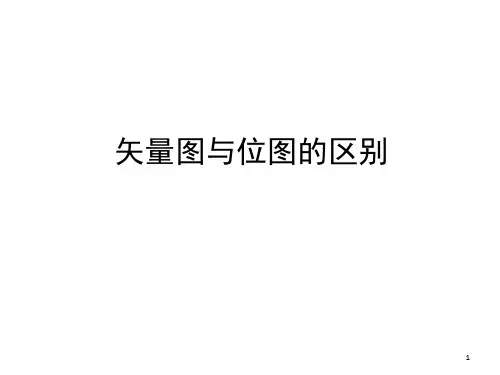 矢量图与位图的区别(课件PPT)