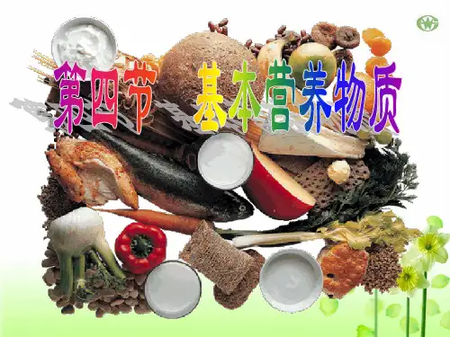 第四节  基本营养物质