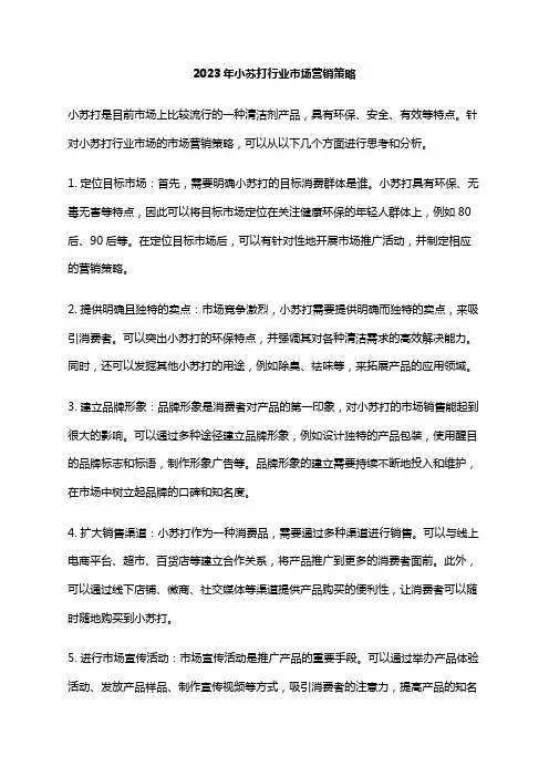 2023年小苏打行业市场营销策略