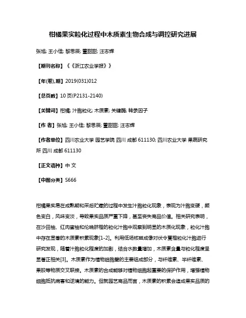 柑橘果实粒化过程中木质素生物合成与调控研究进展