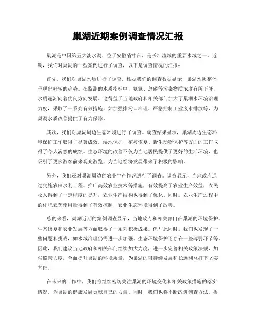 巢湖近期案例调查情况汇报