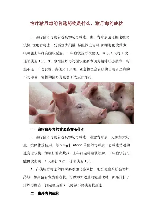 治疗猪丹毒的首选药物是什么,猪丹毒的症状