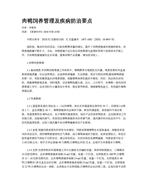 肉鸭饲养管理及疾病防治要点