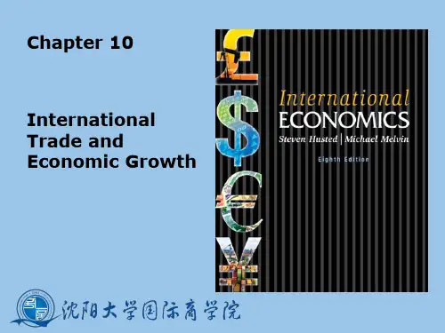 国际经济学 英文版 第十章