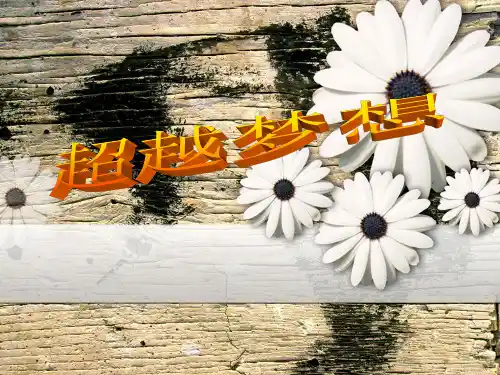 五年级下册品德课件-4.2《超越梦想》2∣教科版 (共13张PPT) PPT