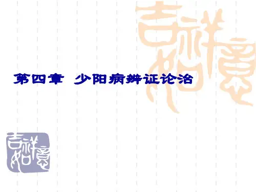 少阳病辨证论治