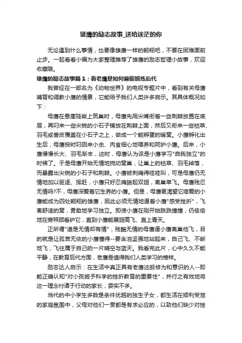 雄鹰的励志故事_送给迷茫的你