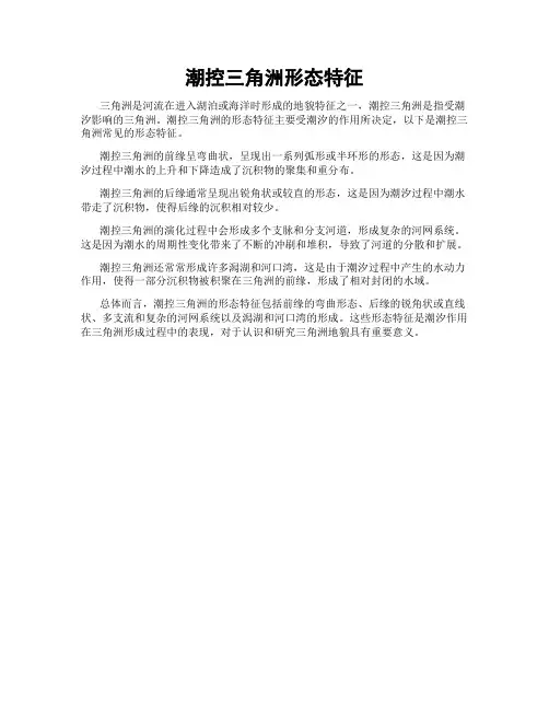 潮控三角洲形态特征