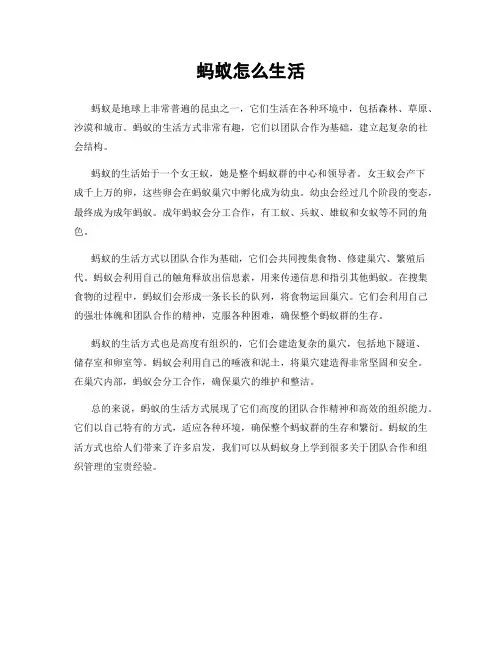 蚂蚁怎么生活