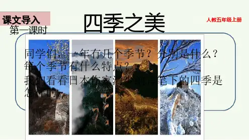 四季之美完美版课件(共19张PPT)