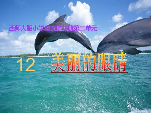 美丽的眼睛(西师大版)PPT课件