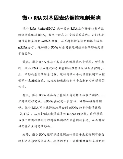 微小RNA对基因表达调控机制影响