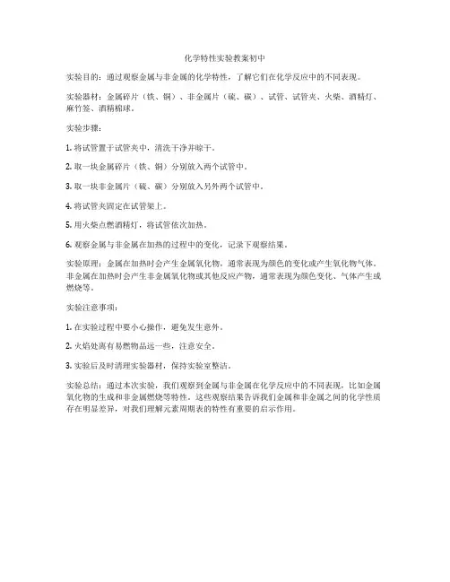 化学特性实验教案初中