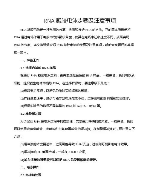 RNA凝胶电泳步骤及注意事项