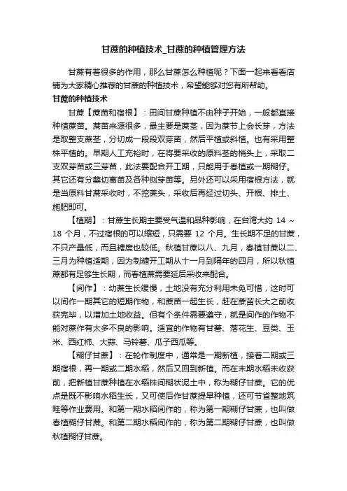 甘蔗的种植技术_甘蔗的种植管理方法