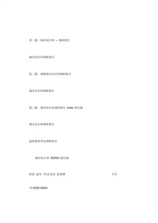 城市综合体调研报告.doc