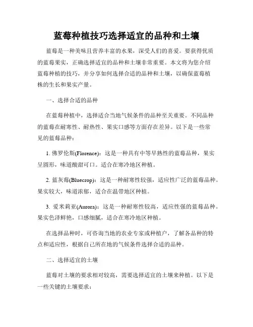 蓝莓种植技巧选择适宜的品种和土壤
