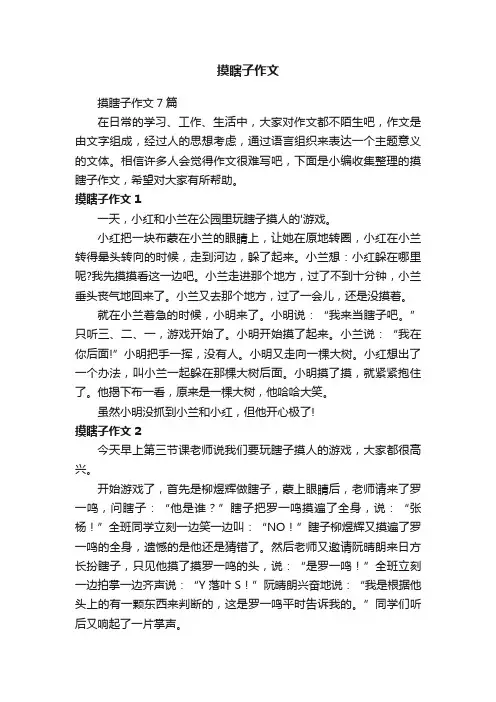 摸瞎子作文