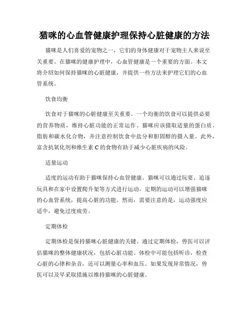 猫咪的心血管健康护理保持心脏健康的方法