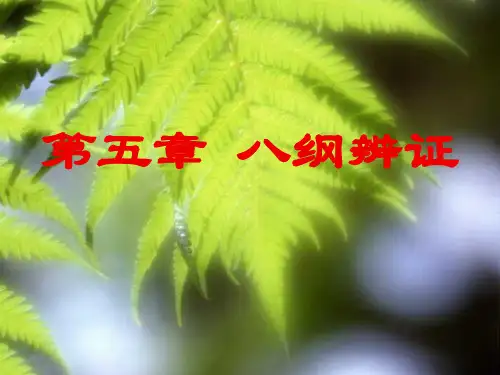八纲辨证