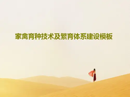 家禽育种技术及繁育体系建设模板共137页