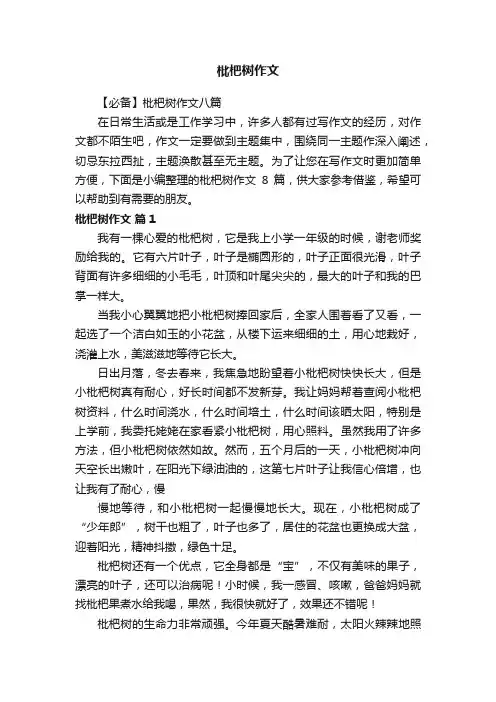 【必备】枇杷树作文八篇