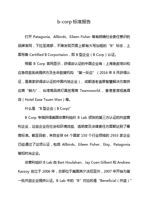 b-corp标准报告