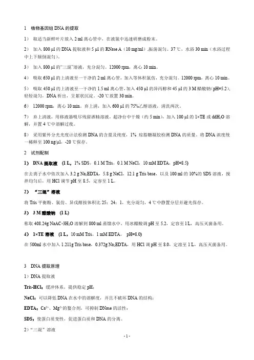植物DNA提取_SDS法