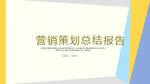 营销策划总结ppt