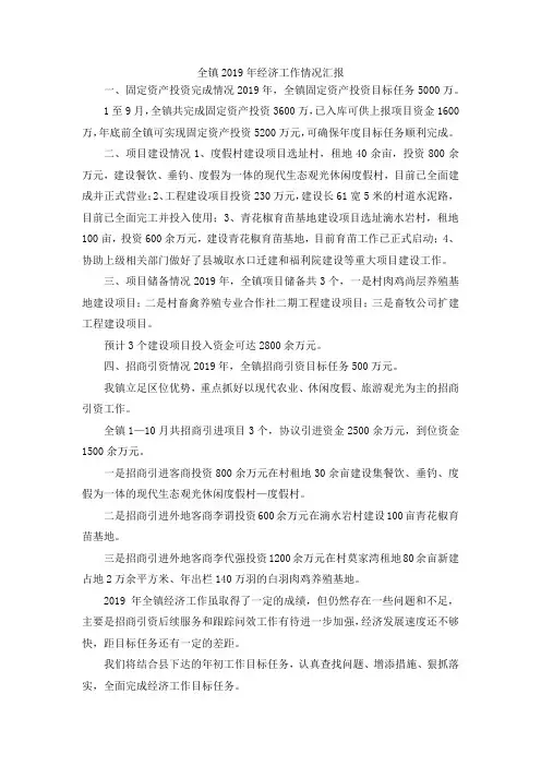 最新-全镇2019年经济工作情况汇报 精品