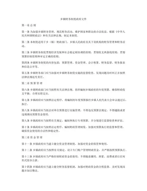 乡镇财务制度政府文件
