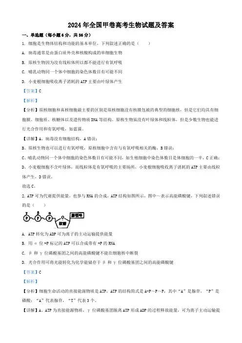 2024年全国甲卷高考生物试题及答案