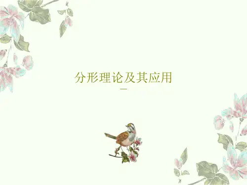 分形理论及其应用22页PPT