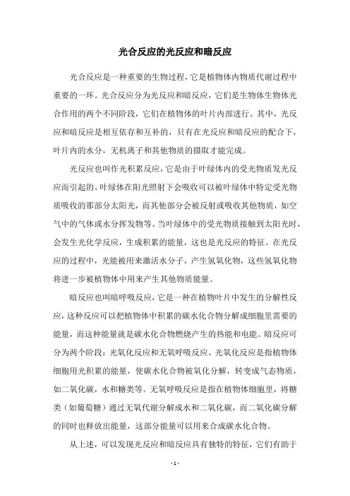 光合反应的光反应和暗反应