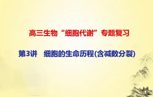 高三生物“细胞代谢”专题复习：第3讲 细胞的生命历程(含减数分