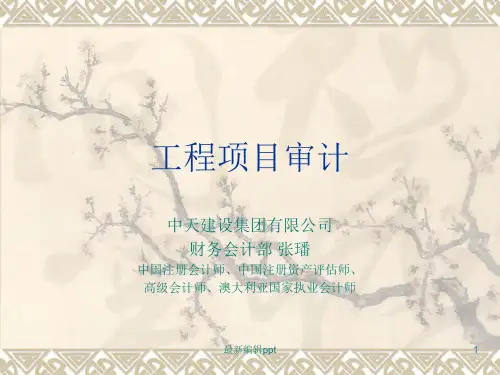 工程项目审计ppt课件