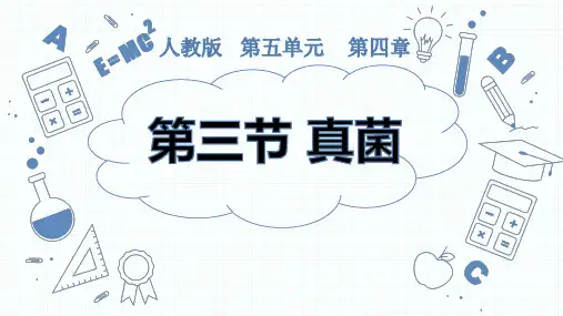 第三节真菌课件人教版八年级生物学上册