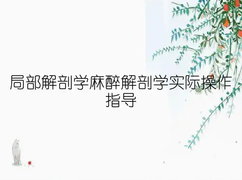 局部解剖学麻醉解剖学实际操作指导