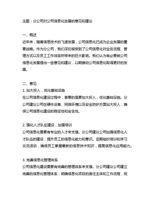 分公司对公司信息化发展的意见和建议