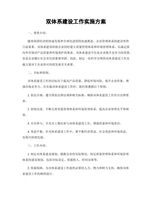 双体系建设工作实施方案